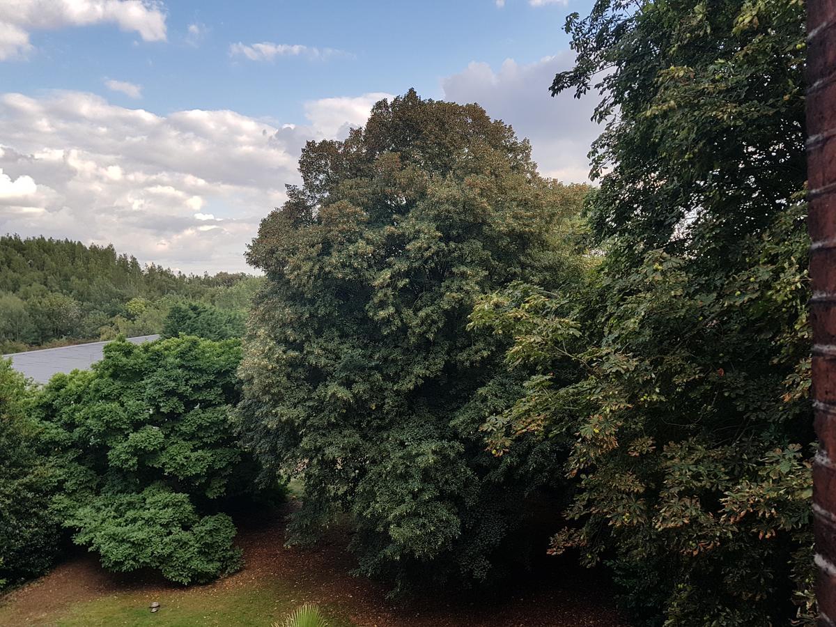 Château Lambert Hotel-Resto-Parking-Shuttle, a 1 ha green Oasis at 8 min from CRL Airport without any noise Charleroi Exterior foto