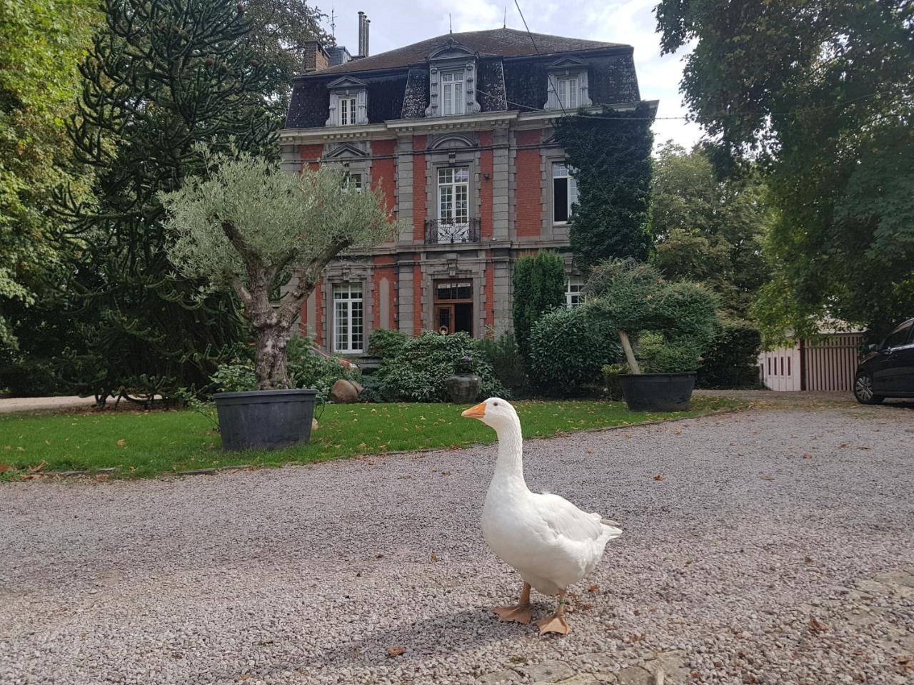 Château Lambert Hotel-Resto-Parking-Shuttle, a 1 ha green Oasis at 8 min from CRL Airport without any noise Charleroi Exterior foto